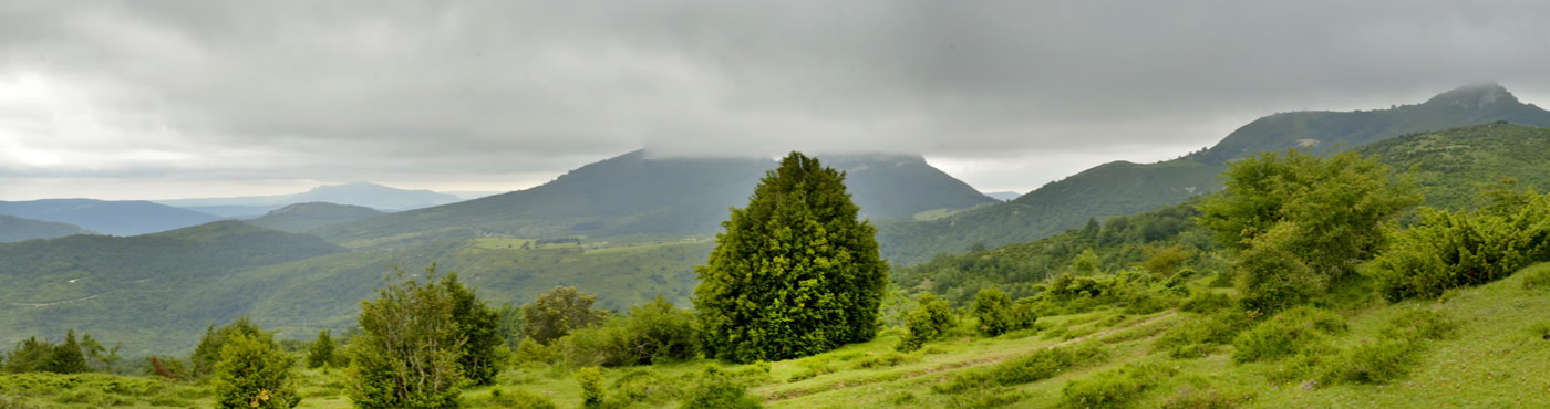 El valle