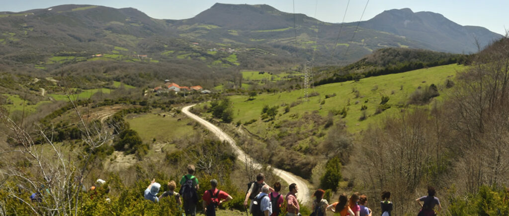 Lusarreta