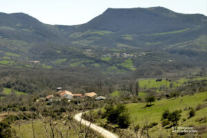 Fiestas de Lusarreta