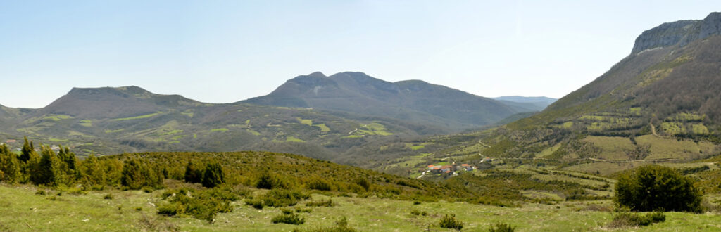 Sarag&uuml;eta &ndash; Saragueta