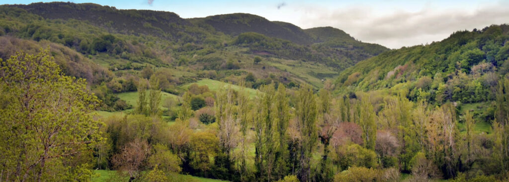 Villanueva de Arce- Hiriberri Artzibar